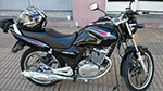Avatar de Usuario